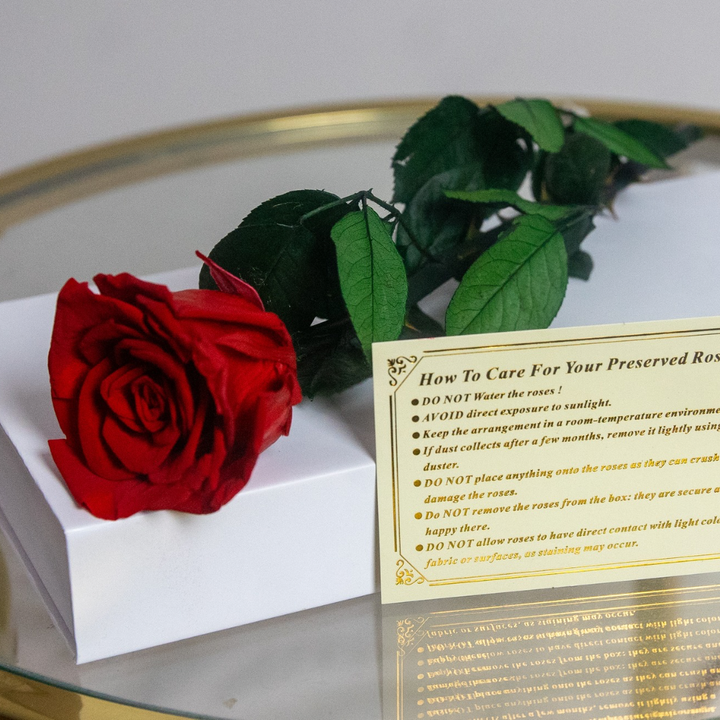 Preserved Eternal Rose